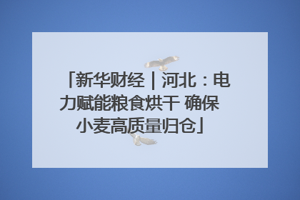 新华财经｜河北：电力赋能粮食烘干 确保小麦高质量归仓